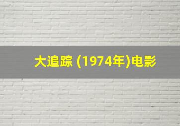 大追踪 (1974年)电影